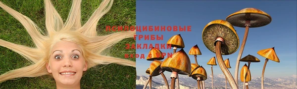 гашик Медвежьегорск