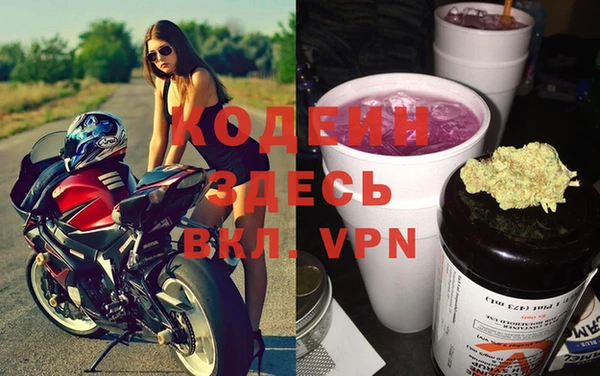 стаф Магас