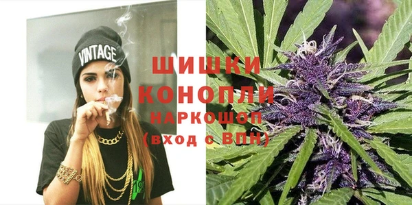 гашик Медвежьегорск