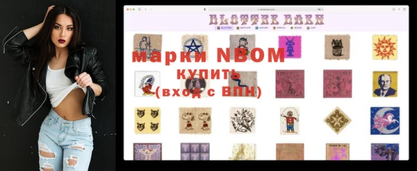 стаф Магас