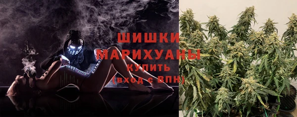 стаф Магас