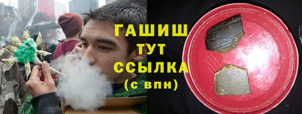 стаф Магас