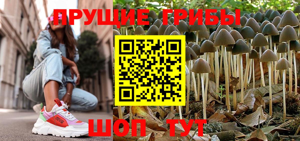 Галлюциногенные грибы MAGIC MUSHROOMS Пермь